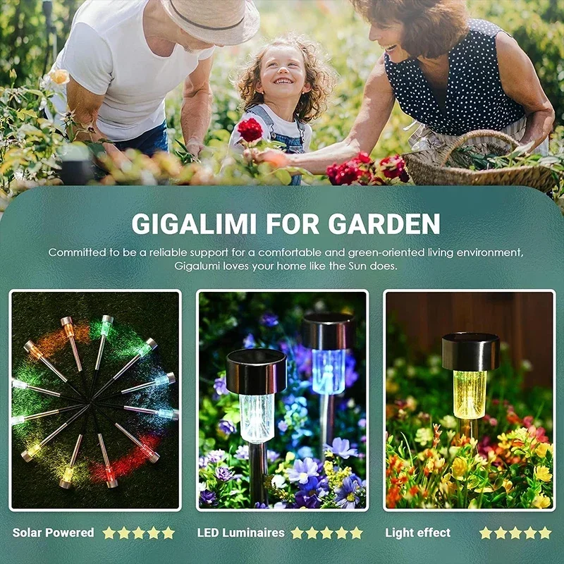 Lampu Taman tenaga surya, lamp - Outdoor Lighting For Backyard ulasan dan harga